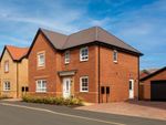 Thumbnail to rent in "Radcliffe" at Sulgrave Street, Barton Seagrave, Kettering