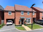 Thumbnail to rent in Griffiths Close, Bushey, Hertfordshire