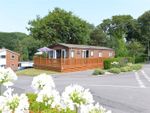 Thumbnail for sale in Meadowside, Hoburne Naish, New Milton, Hampshire