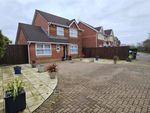 Thumbnail to rent in Water Avens Close, Cardiff