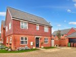 Thumbnail for sale in Harebell Road, Andover