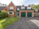 Thumbnail to rent in Alder Glade, Burghfield Common, Reading, Berkshire