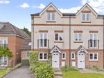 Thumbnail to rent in Wolfe Close, Chichester, West Sussex