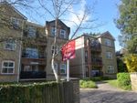 Thumbnail to rent in Northlands Road, Southampton