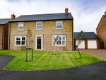 Thumbnail to rent in Knights Road, Morpeth