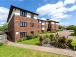 Thumbnail for sale in Birch Tree Court, Park Road, Worthing, West Sussex