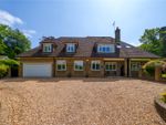 Thumbnail for sale in Chapel Road, Rowledge, Farnham