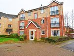 Thumbnail to rent in Shankley Way, Northampton, West Northamptonshire