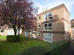 Thumbnail to rent in Seymour Close, Selly Park, Birmingham