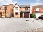 Thumbnail for sale in Aldham Gardens, Rayleigh