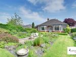 Thumbnail for sale in Bridle Path, Middle Herrington, Sunderland