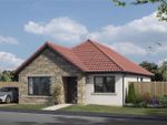 Thumbnail for sale in Shaw Feature, Easy Living Developments, Plot 055, Kings Meadow, Coaltown Of Balgonie