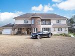 Thumbnail to rent in Lone Pine Drive, West Parley, Ferndown