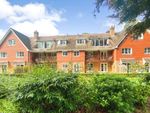 Thumbnail to rent in Tekels Park, Camberley, Surrey