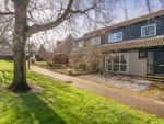 Thumbnail for sale in 18 Whitehill Avenue, Musselburgh