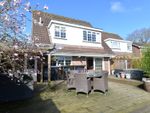 Thumbnail for sale in Deerleap Way, New Milton, Hampshire