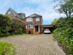 Thumbnail to rent in Ninfield Road, Bexhill-On-Sea