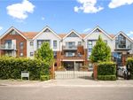 Thumbnail to rent in Duttons Road, Romsey, Hampshire