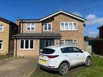 Thumbnail for sale in Chestnut Avenue, Holbeach, Spalding