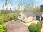 Thumbnail for sale in Barberry Close, Harrogate