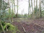 Thumbnail for sale in Land At Trafalgar House, Old Park Road, Swarland, Northumberland