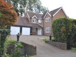 Thumbnail to rent in Bedlars Green, Bishop's Stortford