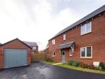 Thumbnail for sale in Blane Place, Potton, Sandy, Bedfordshire