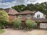Thumbnail to rent in Henley Drive, Kingston Upon Thames