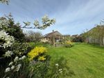 Thumbnail for sale in Ham Meadow, Marnhull, Sturminster Newton