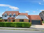Thumbnail to rent in 6 Home Farm Road, Houghton, Huntingdon