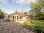 Thumbnail to rent in Station Road, Yaxham, Dereham