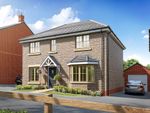 Thumbnail for sale in "Manford - Plot 16" at Welford Road, Kingsthorpe, Northampton