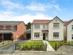 Thumbnail to rent in Comfrey Drive, Morpeth