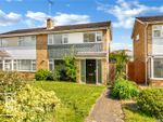 Thumbnail for sale in Upland Drive, St Johns, Colchester, Essex