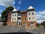 Thumbnail to rent in Marion House, Park Gate, Southampton