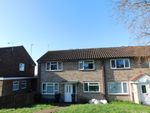 Thumbnail to rent in Forest Road, Colchester, Essex