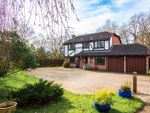 Thumbnail to rent in Cox Grove, Burgess Hill