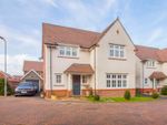 Thumbnail for sale in Gwenddwr Grange Close, Newport