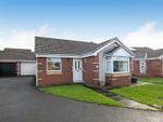 Thumbnail for sale in Campion Road, Darlington