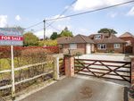 Thumbnail for sale in Liphook Road, Lindford