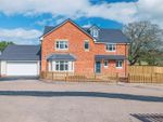 Thumbnail for sale in Oakview Close, Much Dewchurch, Hereford