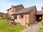 Thumbnail for sale in 18 Sainthill Court, North Berwick