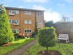 Thumbnail to rent in Harrowby Drive, Newcastle-Under-Lyme