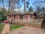 Thumbnail to rent in Sandyballs, Godshill, Fordingbridge