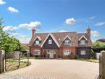Thumbnail to rent in Manor Close, Walberswick, Southwold, Suffolk