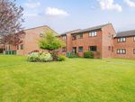 Thumbnail to rent in Frosthole Crescent, Fareham