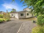 Thumbnail to rent in Sycamore Grove, Ackenthwaite