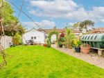 Thumbnail for sale in Dereham Road, Mattishall