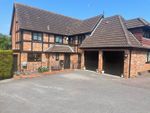 Thumbnail to rent in Cowdray Park Road, Bexhill-On-Sea