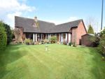 Thumbnail to rent in Frogmore Place, Market Drayton, Shropshire